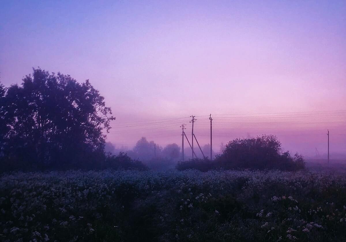 中南海1mg出口日本香烟价格表2024 中南海1mg出口日本价格表和图片